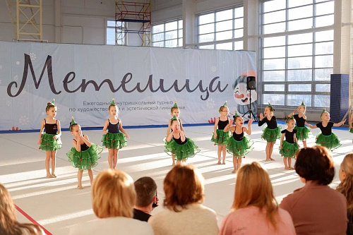 Внутришкольный новогодний концерта "Метелица"