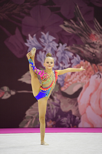Открытый турнир под эгидой заслуженных тренеров РФ Шаталиной В.Н. и Шаталиной Н.Н. в г. Москва