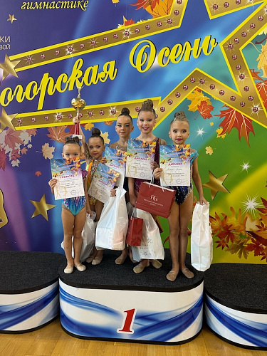 Турнире по художественной гимнастике "НОВОГОРСКАЯ ОСЕНЬ" в Центре гимнастики Ирины Винер