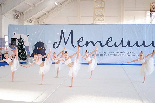 Внутришкольный новогодний концерта "Метелица"